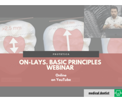 ON-LAYS. Basic Principles (Webinar)